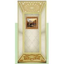 Роскошный и качественный домашний лифт со стеклянной кабиной